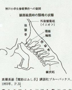 喉と頚椎の横断面